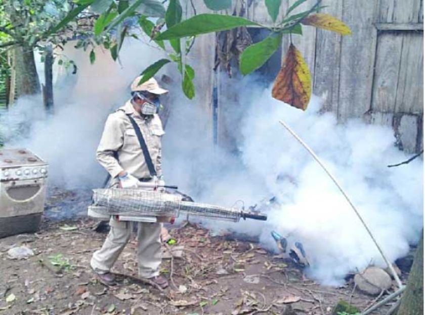 Salud: Chikungunya  se expande en cinco departamentos