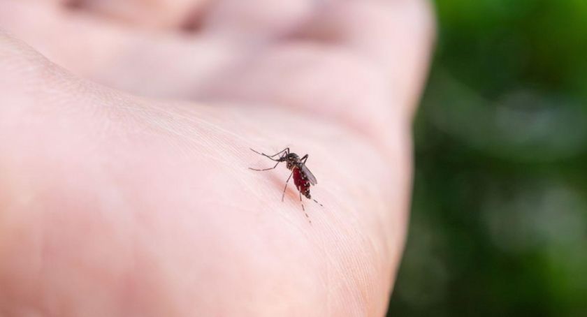Santa Cruz: El 23% del personal de salud se contagió de chikungunya y sigue atendiendo pacientes