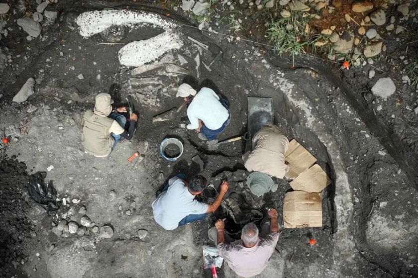 Hallan fósiles de un perezoso gigante y un mastodonte de al menos hace 10.000 años en Costa Rica