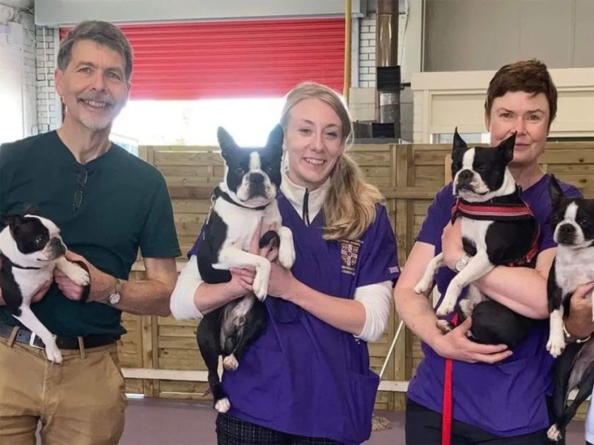 Transtorno Respiratorio: Estos son los perritos con mas riesgo