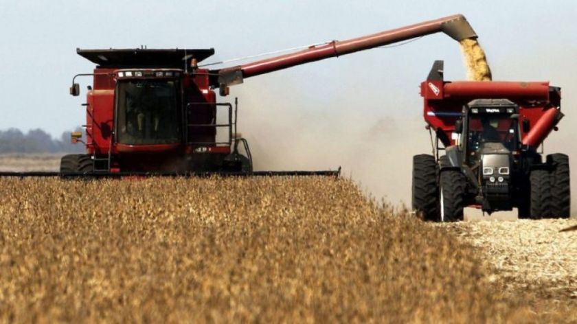 Sector agropecuario garantiza la producción de alimentos