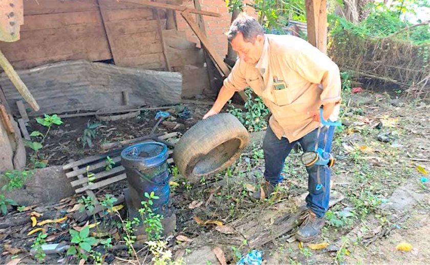 Santa Cruz: Suben los casos  y muertes por chikungunya