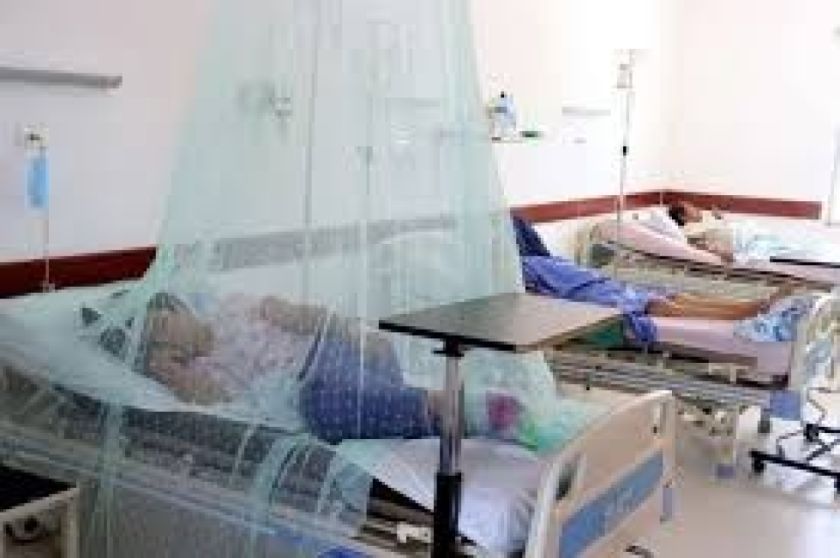 Salud refuerza controles e impulsa convenios con clínicas privadas ante chikungunya en Santa Cruz