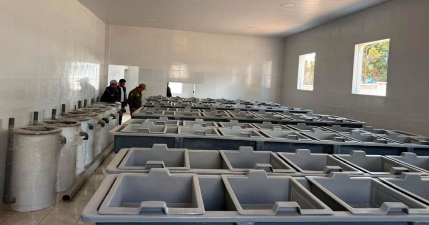 Fiscalía imputa a Franklin Flores por irregularidades en planta piscícola del Lago Titicaca