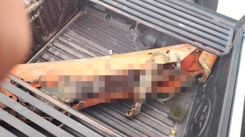 Dos mineros mueren en  interior mina y la cifra de fallecidos sube a 38    