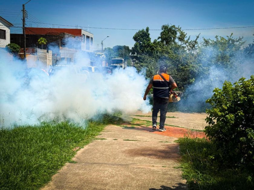 Santa Cruz: Gobierno evalúa clases a distancia ante aumento de casos de chikungunya 