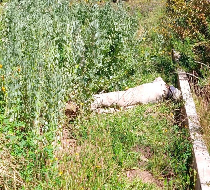 Hallan sin vida a anciano  entre sembradíos de haba