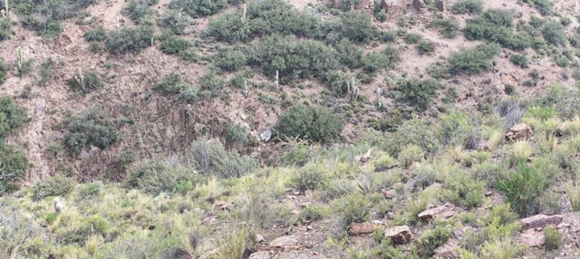 Dos trabajadores mueren tras embarrancamiento en Tupiza