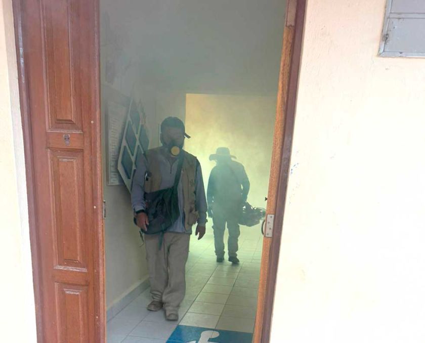 Potosí confirma más casos de chikungunya y declara alerta