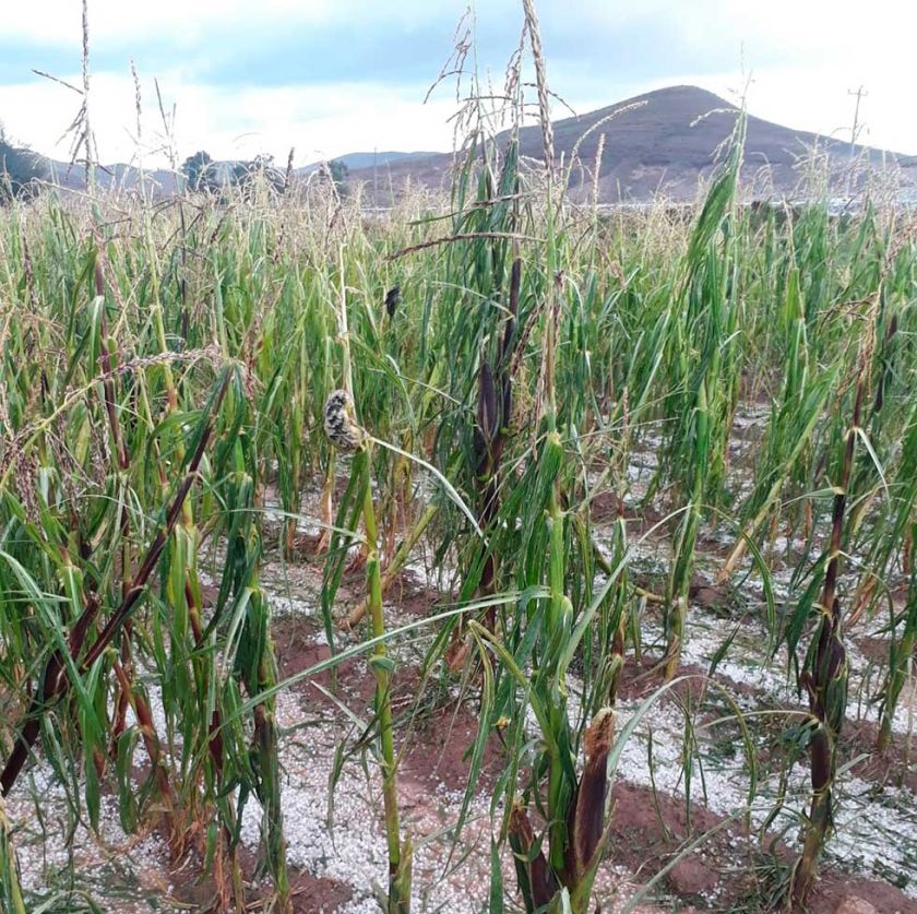Más de 32 mil familias son las afectadas por desastres naturales