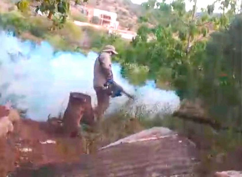En Toro Toro coordinan acciones para eliminar al mosquito del dengue