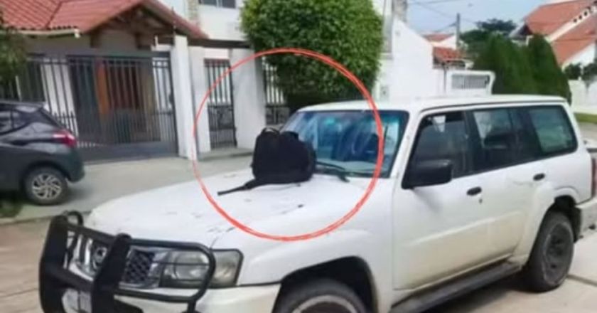 Policía investiga una supuesto dispositivo en inmueble vinculado a Marset