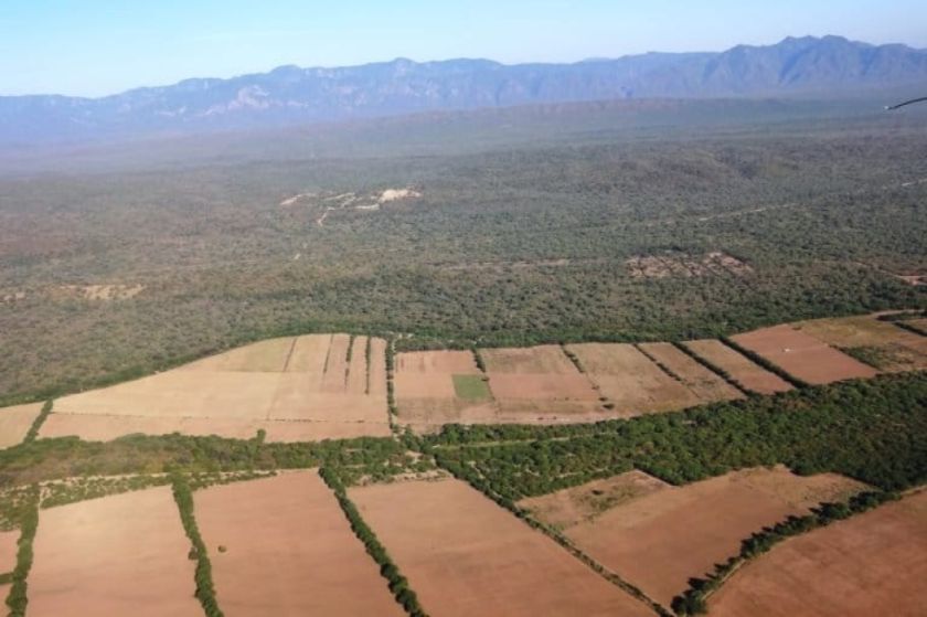 El Defensor del Pueblo cuestionó la Ley sobre la conversión de la pequeña propiedad agraria