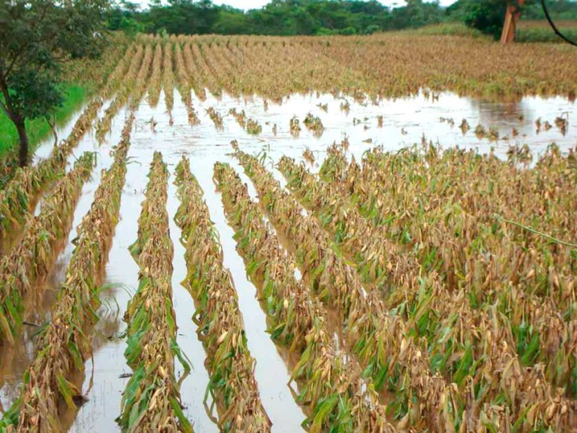 Lluvias continúan en las regiones del Departamento de Potosí