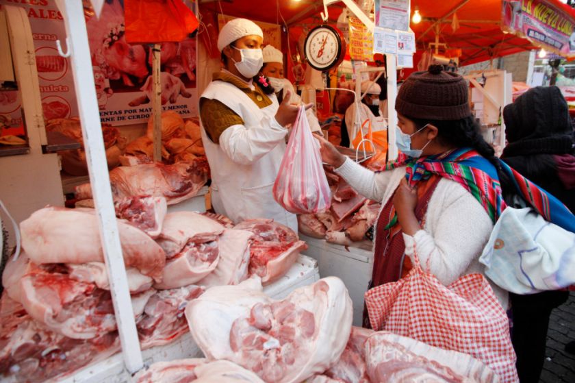 Proyectan exportar 1.000 toneladas de carne porcina boliviana por mes a cuatro países 