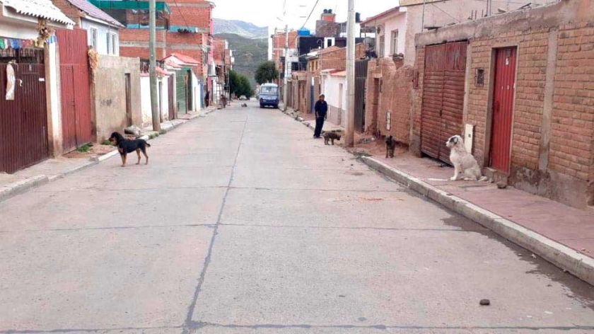 Reglamento establece sanciones para los que maltraten a los animales