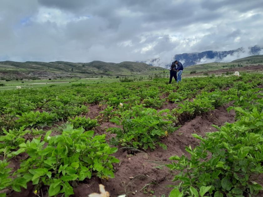 Gobierno dice que Decreto 5613 establece lineamientos sobre la Amazonía