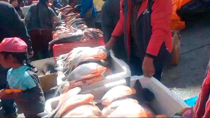 Intendencia Municipal cumple control sorpresa en el mercado Abasto  