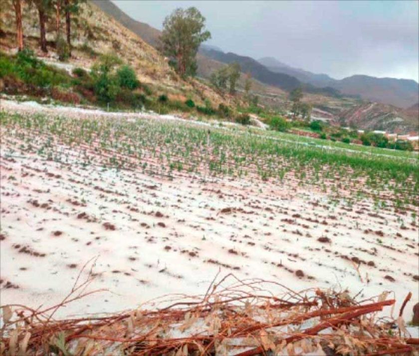 Desastres naturales causaron la pérdida del 26% de la producción