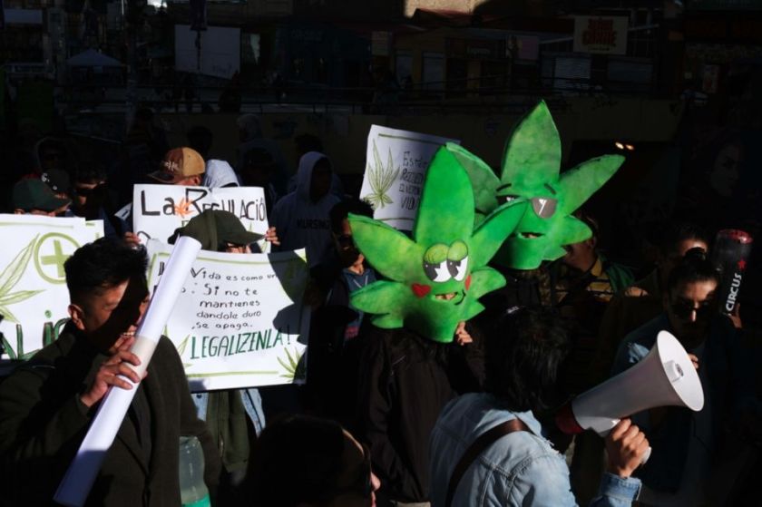 Decenas se manifiestan a favor de la despenalización de la marihuana en Bolivia
