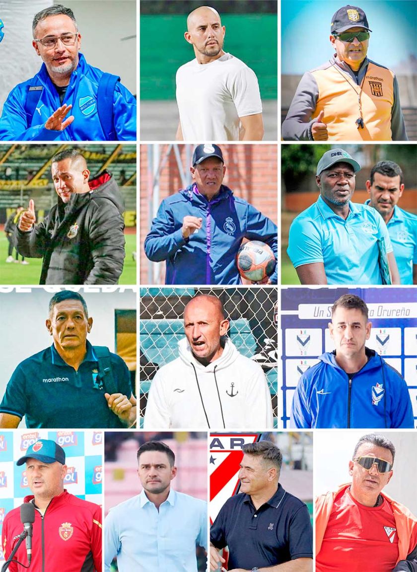 Danza de técnicos