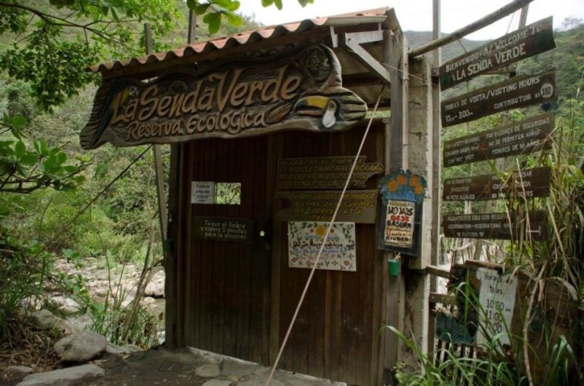 Gobierno afirma que bloqueos pusieron en riesgo a más de 1.200 animales rescatados en Senda Verde