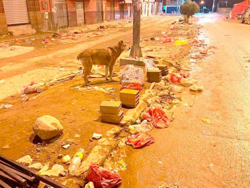 Hallan seis puntos neurálgicos de microbasurales en el centro