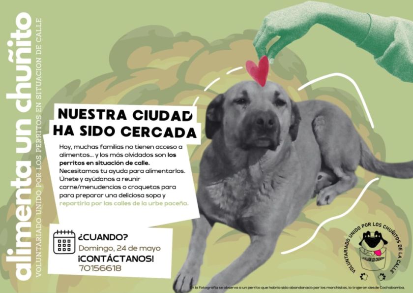 “La olla de los chuñitos” lanza campaña solidaria para alimentar a perros callejeros afectados por los bloqueos
