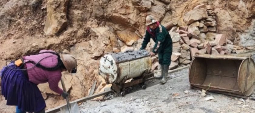 Gobierno descarta cualquier intención de privatizar las empresas mineras estatales del país