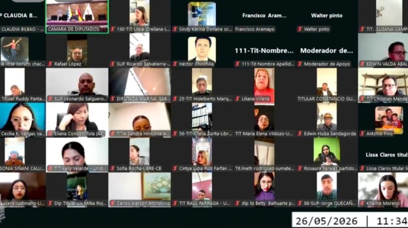 Diputados debaten ley para facilitar la declaratoria de Estado de excepción