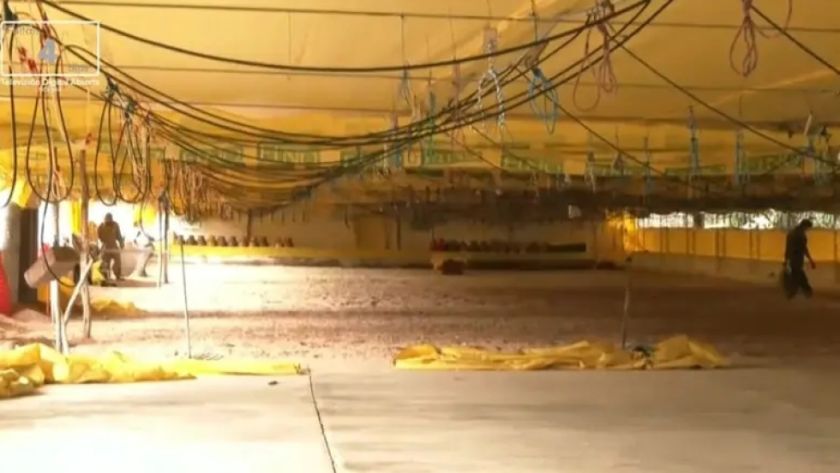 Avicultores denuncian que bloqueos afectan abastecimiento de insumos de granjas en Cochabamba