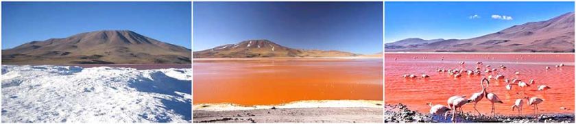 La Laguna Colorada  resalta en foto captada  por la NASA