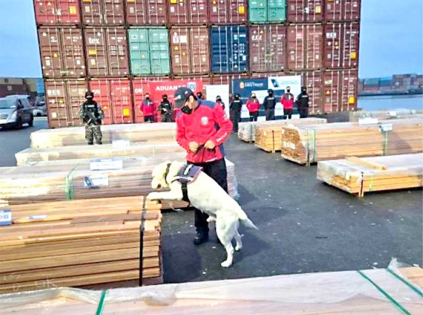 ‘Narcomadera’ boliviana, un botín de $us 8.300 millones