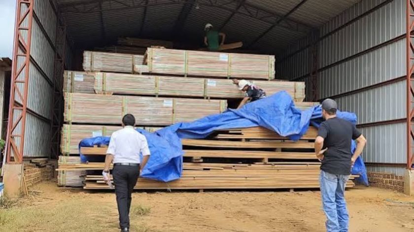 Muestras de madera con droga son analizadas en laboratorios de tres países