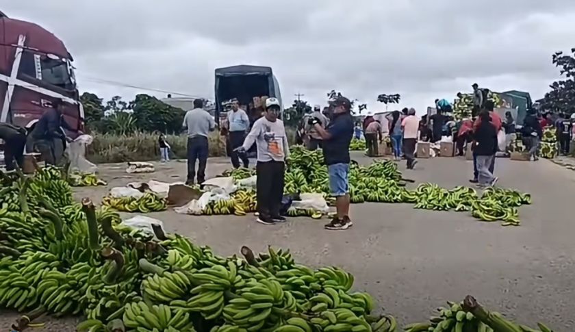Bananeros del trópico desechan cargamentos de exportación por bloqueos