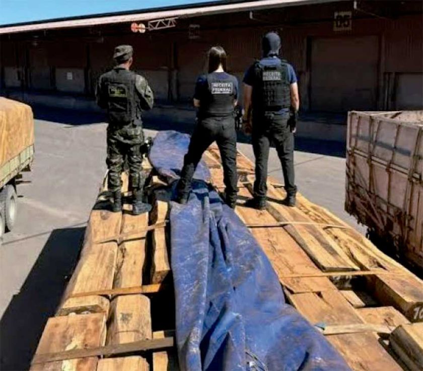 Hallan droga oculta  en madera boliviana