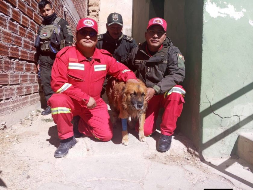 Falleció Dante el perrito oficial que acompaño a la policía fronteriza de Villazón