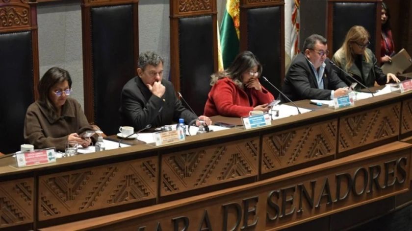 Cámara Alta vulnera procedimientos y aprueba segunda ley de Acceso a Información  
