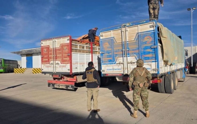 Incautan camiones con 20 toneladas de aceite de contrabando en la ruta Potosí - Sucre