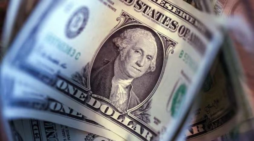 El BCB afirma que el dólar ya superó los Bs 10 en 29 ocasiones