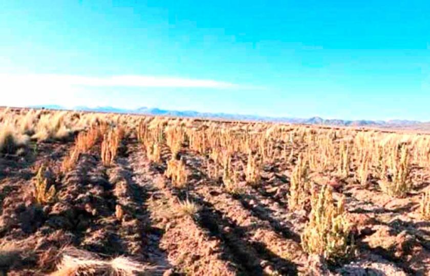 Prevén reducción de lluvias y una baja recarga de las lagunas