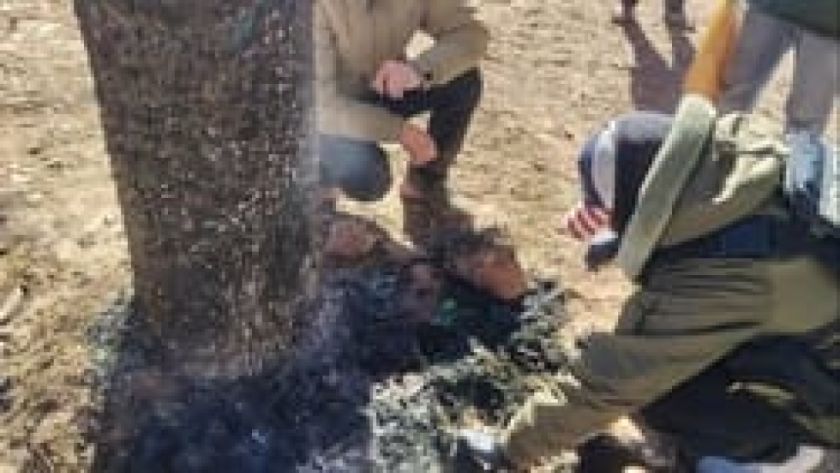 Linchamiento en Pocoata: Aprehendido por enfrenta medidas cautelares