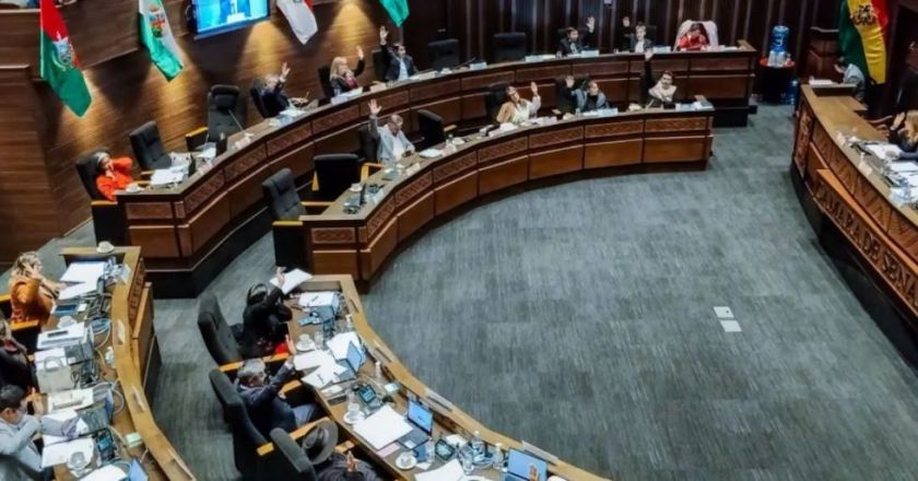 Senado aprueba ley contra denuncias falsas e instrumentalización de la justicia