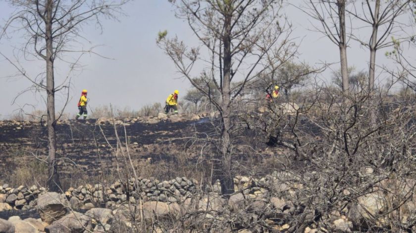 Gobierno confirma control de los incendios en Tarija