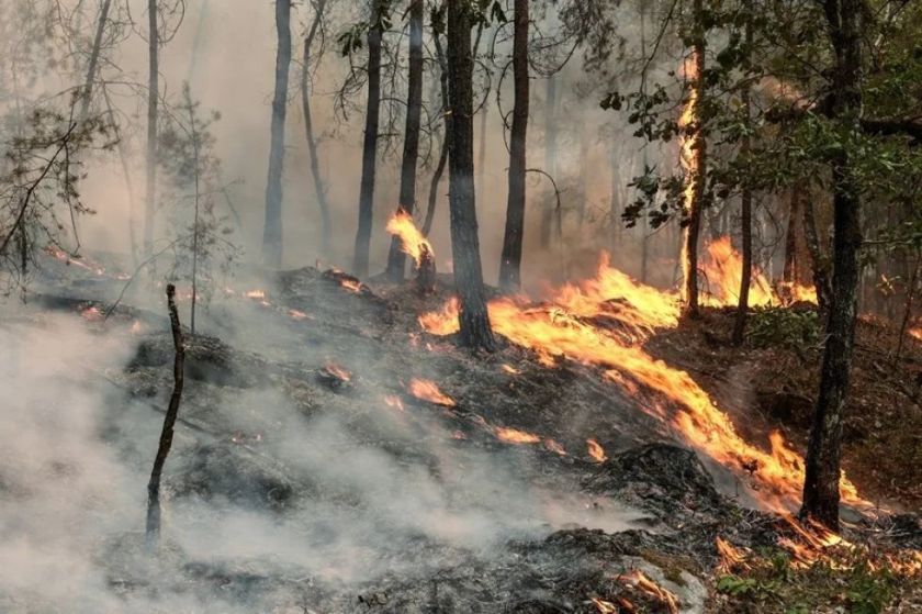 Dos grandes incendios avanzan en Francia, con 20.000 personas evacuadas cerca de Burdeos