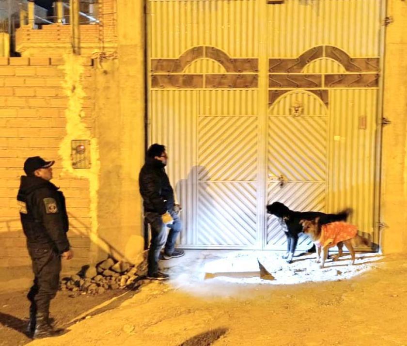 Zoonosis notifica a 280 personas por abandonar a sus mascotas