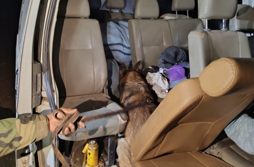 Can antidroga detecta casi 200 kilos de marihuana en Cochabamba