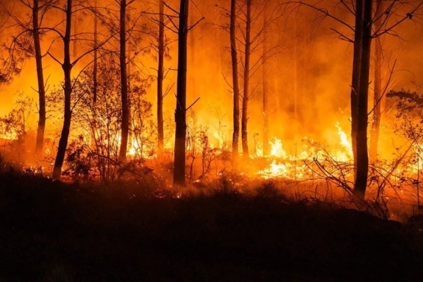Evacuan en Francia 7 pueblos más cerca de Burdeos mientras avanza el gran incendio de Gironda