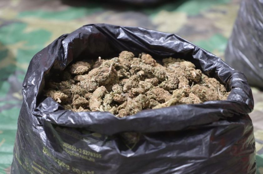 Sucre: Aprehenden a tres personas con más de 150 kilos marihuana