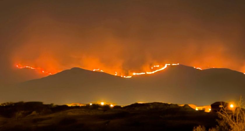 Senado pide esclarecer las causas de incendios forestales en Tarija y reforzar la prevención en Santa Cruz